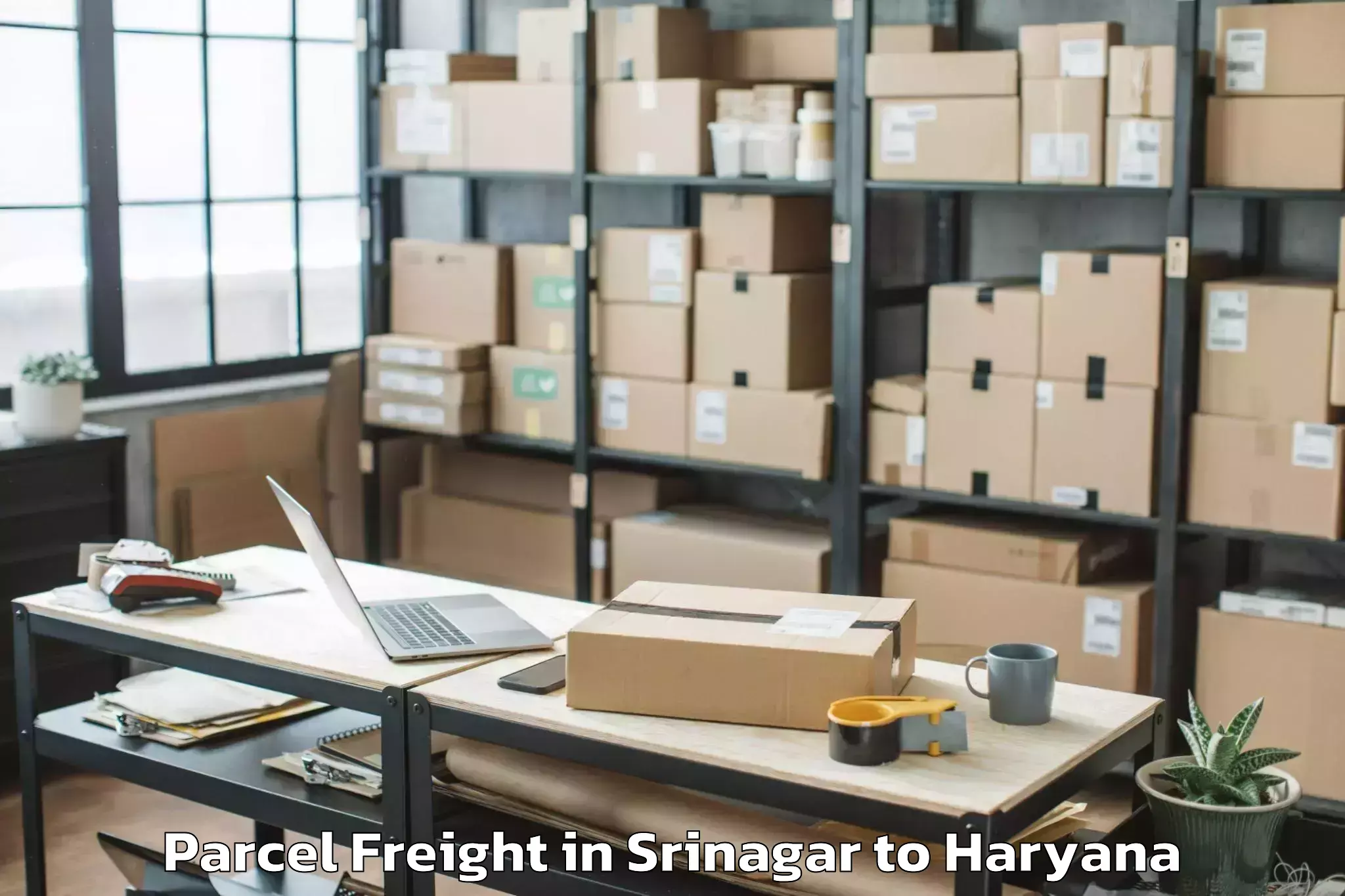 Book Your Srinagar to Mgf Metropolitan Mall Gurgaon Parcel Freight Today